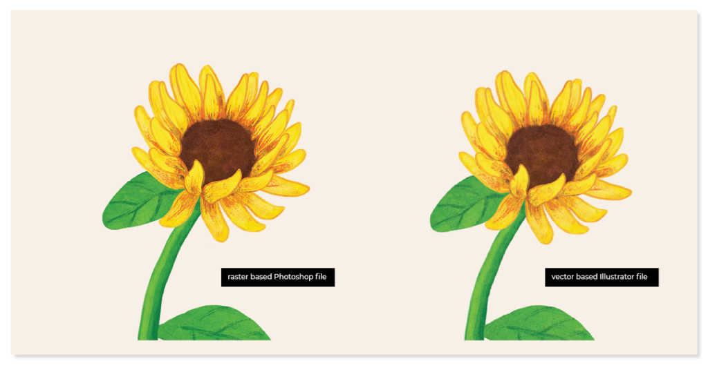 image shows a rasterized sunflower next to a vectorized sunflower to show the similarities in artwork when vectorizing art.